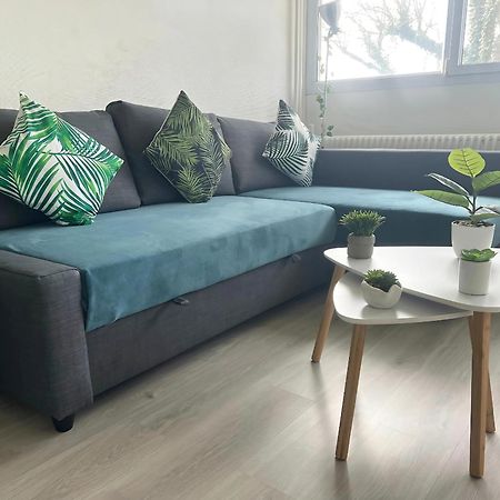 Appartement Le Classik' Parking Prive Макон Экстерьер фото